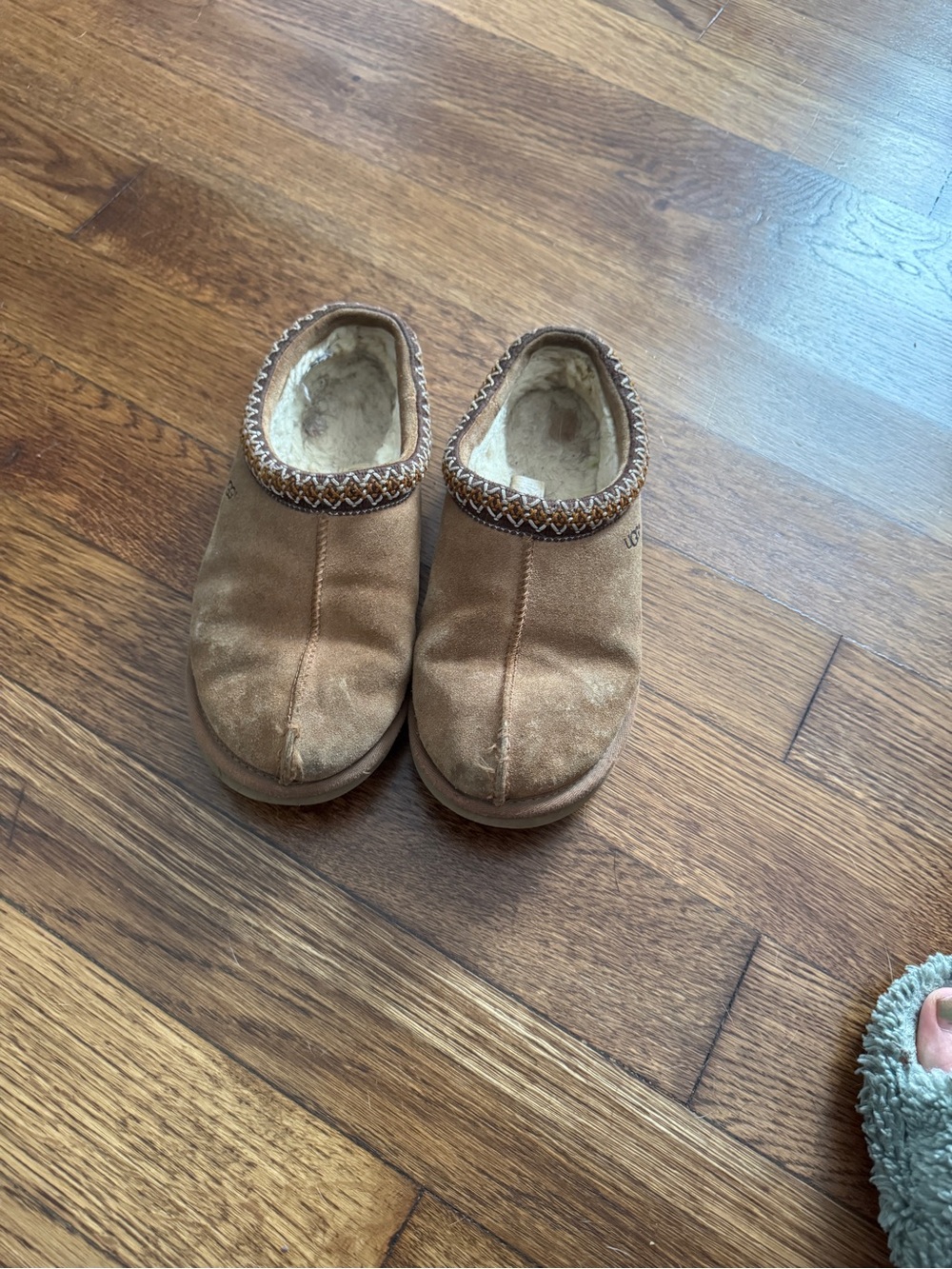 UGG Brown Slip-On Cozy Shoes